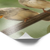 Drei Finish auf einer Twig Fotodruck (Ecke)