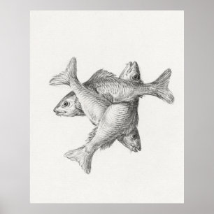 Drei Fische Poster
