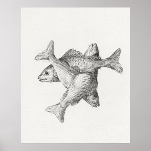 Drei Fische Poster (Vorne)