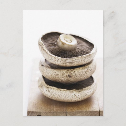 Drei flache Pilze aus Holz Postkarte (Vorderseite)