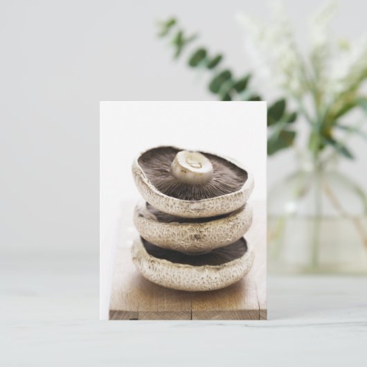 Drei flache Pilze aus Holz Postkarte (Stehend Vorderseite)