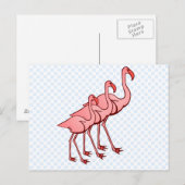 Drei Flamingos Postkarte (Vorne/Hinten)