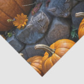 Drei flauschige Herbstkätzchen mit Pumpkins und Mu Seidenpapier (Ausschnitt)