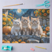 Drei flauschige Herbstkätzchen mit Pumpkins und Mu Seidenpapier (Basteln)