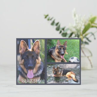 Drei Foto- und Namenskarte Dankeskarte