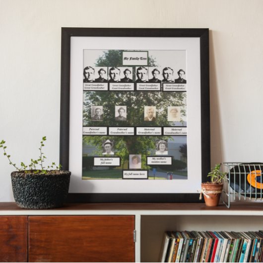 Drei Fotos aus vier Generationen Sommerzeit Elm Fa Poster