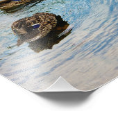 Drei Fotos Fotodruck (Ecke)