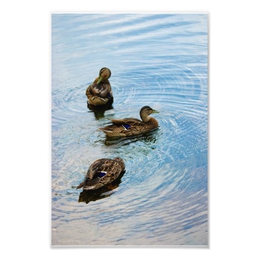 Drei Fotos Fotodruck (Vorne)