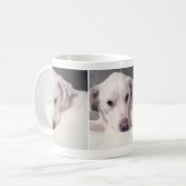 Drei Fotos Hübscher weißer Hund Kaffeetasse (Vorderseite Links)