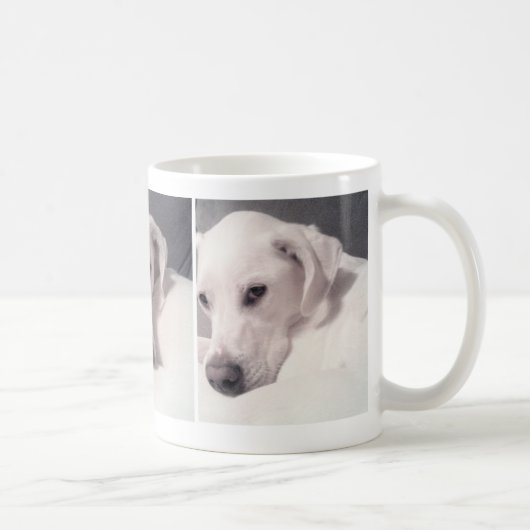 Drei Fotos Hübscher weißer Hund Kaffeetasse (Rechts)
