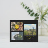 drei Fotos von der Postkarte Apache Junction Arizo (Stehend Vorderseite)