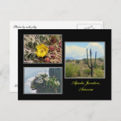 drei Fotos von der Postkarte Apache Junction Arizo (Vorne/Hinten)