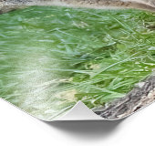 Drei Fox Kits Fotodruck (Ecke)