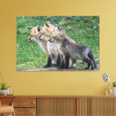 Drei Fox Kits Leinwanddruck (Insitu (Wohnzimmer))