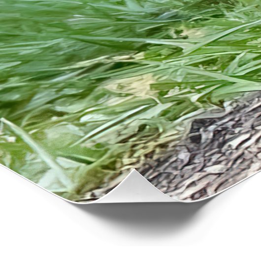 Drei Fox Kits Poster (Ecke)