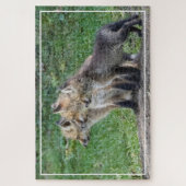Drei Fox Kits Puzzle (Vertikal)