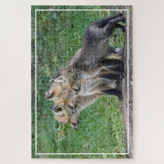 Drei Fox Kits Puzzle (Vertikal)