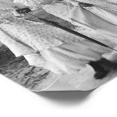 Drei Frauen in Marshall Texas Poster (Ecke)