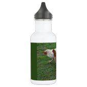 Drei Freunde Edelstahlflasche (Links)