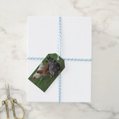 Drei Freunde Geschenkanhänger (Mit Garn)