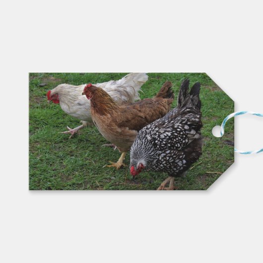 Drei Freunde Geschenkanhänger (Vorderseite (Horizontal))