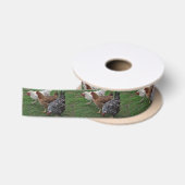 Drei Freunde Satinband (Spule)