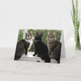 Drei Freunde "Time for Cake" Geburtstagskarte Karte