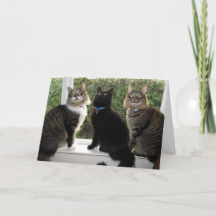 Drei Freunde "Time for Cake" Geburtstagskarte Karte