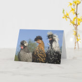 Drei Funky Polish Chickens - Funny Birds Karte (Gelbe Blume)
