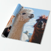Drei Funny Alpacas Geschenkpapier (Ungerollt)