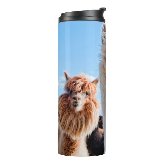 Drei Funny Alpacas Thermosbecher (Nach links gedreht)