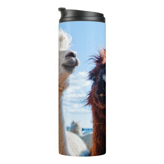 Drei Funny Alpacas Thermosbecher (Nach rechts gedreht)
