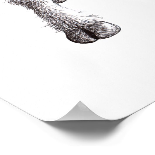 Drei Funny Cheeky Sheep Poster (Ecke)