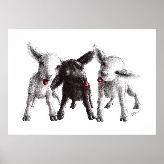 Drei Funny Cheeky Sheep Poster (Vorne)