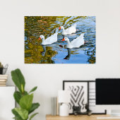 drei Gänse schwimmen Poster (Heimbüro)