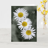 Drei Gänseblümchen-Gruß-Karte Karte (Gelbe Blume)
