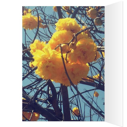 Drei geheuerte Naga (Innen (Links))