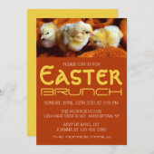 Drei gelbe Chips, Gelb & Orange Osterbrunch Ankündigung (Vorne/Hinten)