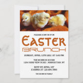 Drei gelbe Chips, Orange & White Oaster Brunch Ankündigung (Vorderseite)