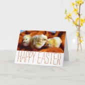 Drei gelbe Chips, Orange & White Oaster Karte (Gelbe Blume)