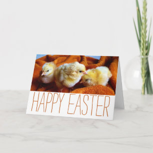 Drei gelbe Chips, Orange & White Oaster Karte