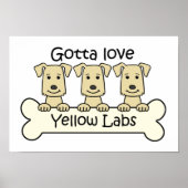 Drei Gelbe Labradore Poster (Vorne)