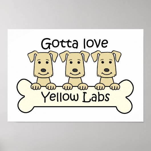 Drei Gelbe Labradore Poster (Vorne)