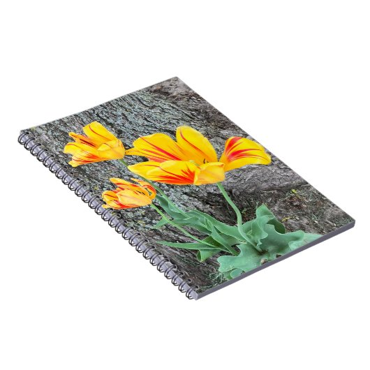 Drei Gelbe Tulips Sequel / Spiral Notizblock (Rechte Seite)