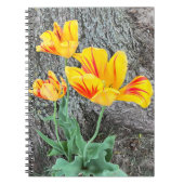 Drei Gelbe Tulips Sequel / Spiral Notizblock (Vorderseite)