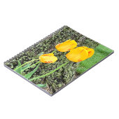 Drei gelbe Tulips / Spirale Notizblock (Linke Seite)