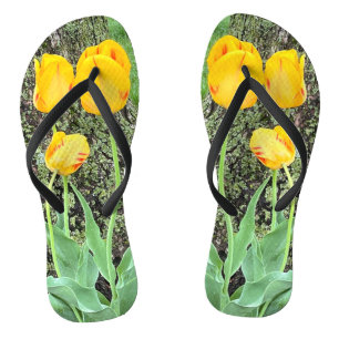 Drei gelbe Tulissen / Badesandalen