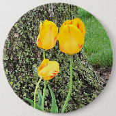 Drei gelbe Tulissen / Button (Vorderseite)