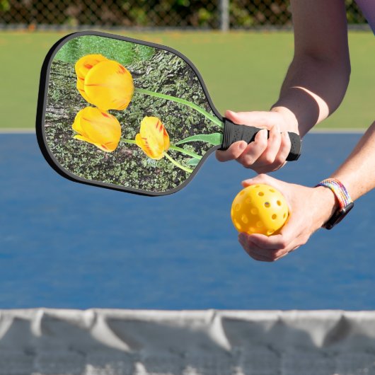 Drei gelbe Tulissen / Pickleball Schläger (InSitu)