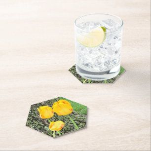 Drei gelbe Tulissen / Untersetzer